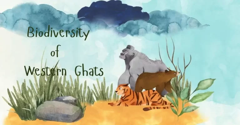 Biodiversity of Western Ghats cover