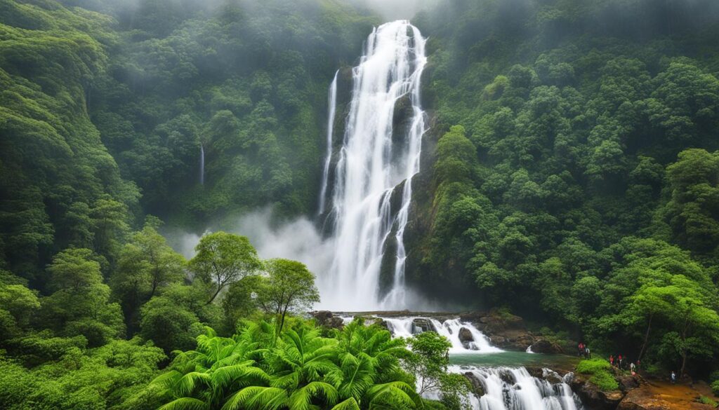 Iruppu Falls in Coorg