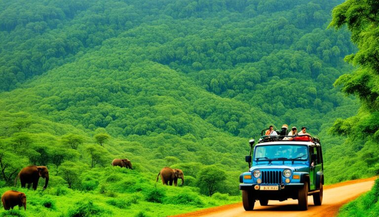 Wildlife tours Western Ghats